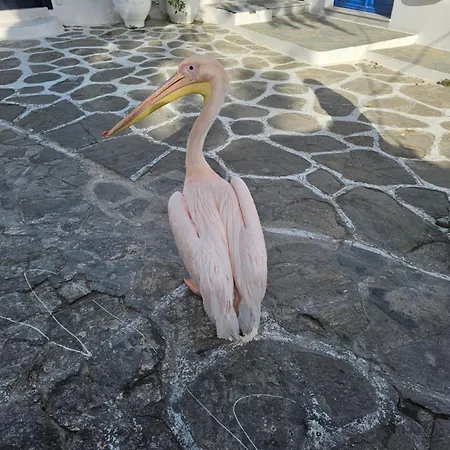 Modern Mykonos * Mykonos Town